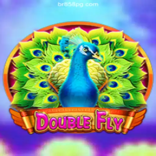Exploring the DoubleFly Game on the BR858.COM Platform